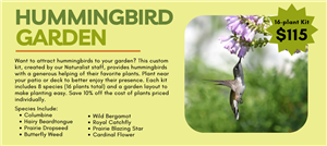 Hummingbird Garden Kit