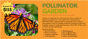 Pollinator Garden
