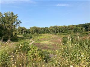 Carpenter Nature Preserve