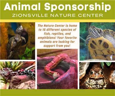 Animal Sponsorships